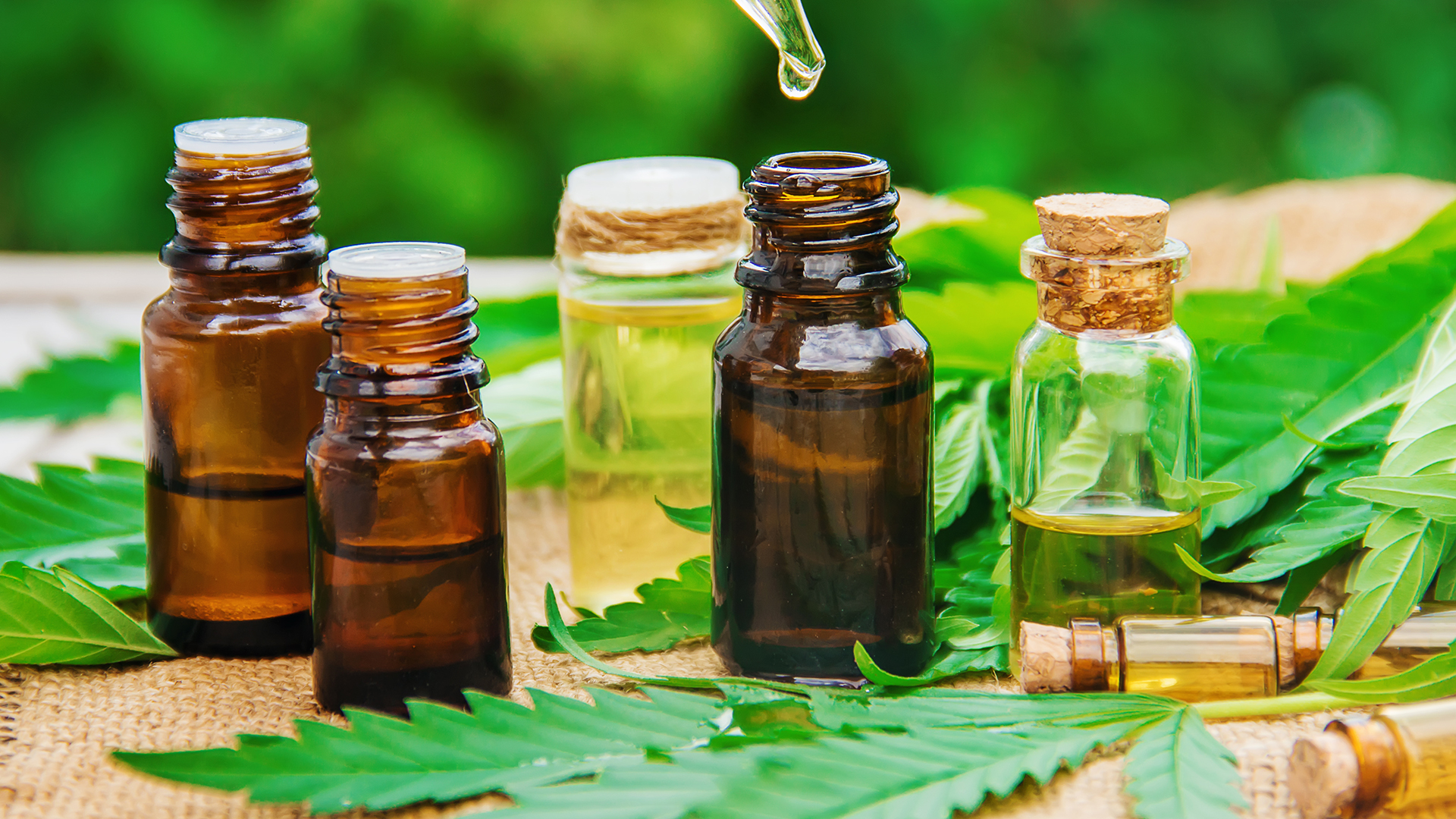 Is It Legal To Buy CBD Oil And CBD Flower?