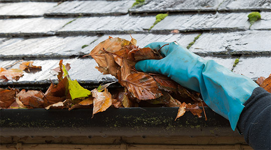 Gutter Cleaning – The Desired Bad