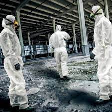 Empowering Safety: The Impact of Asbestos Survey Findings